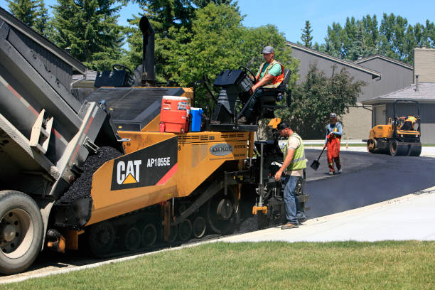 Best Driveway Drainage Solutions in Camp Croft, SC